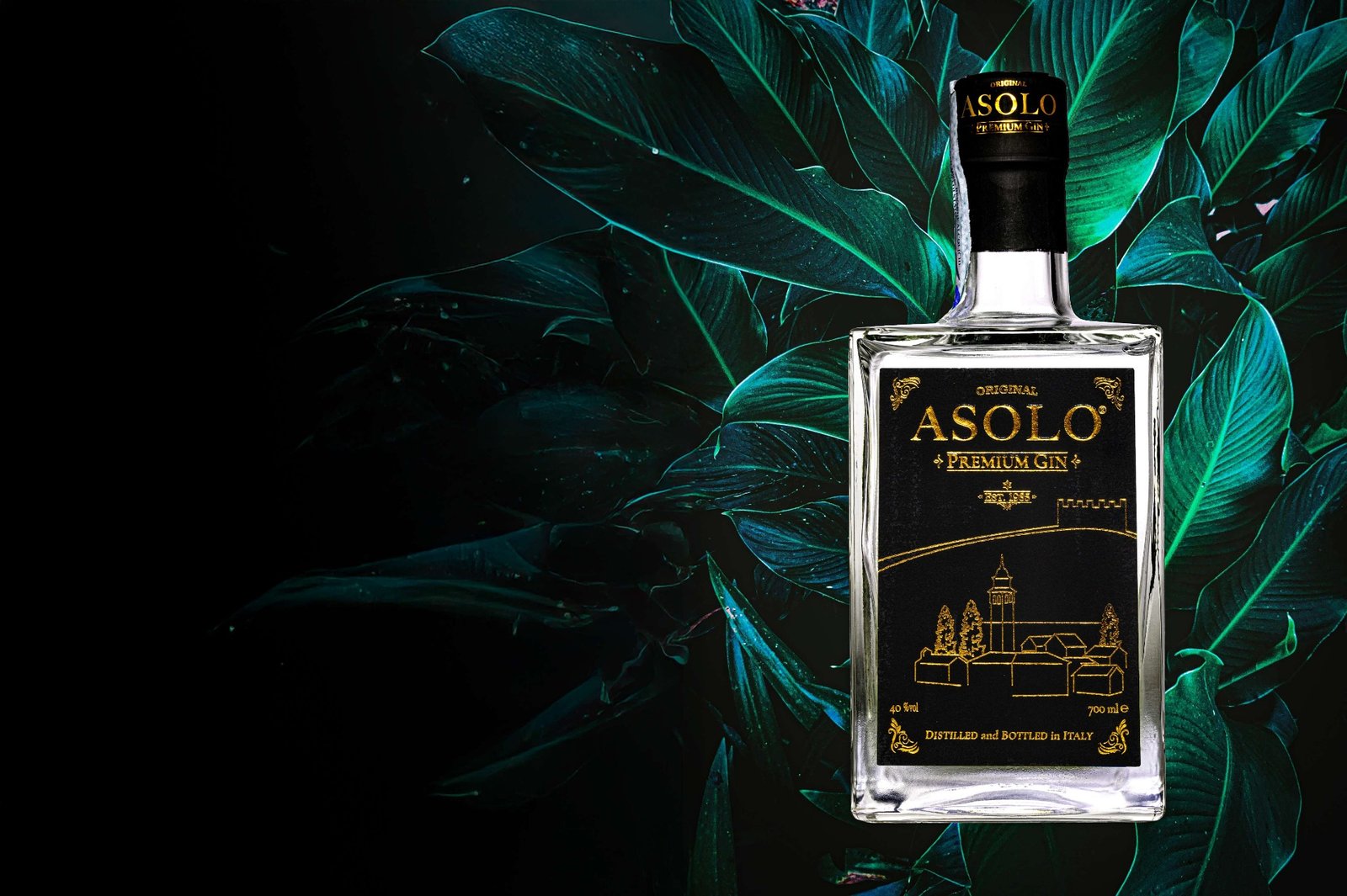 Asolo Premium Gin — etichetta nera con dettagli oro